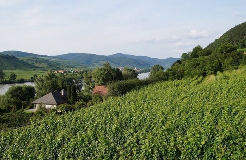 Mitterarnsdorf Apartment | Comfortable apartment (52 m²) with a balcony and a view of the vineyards