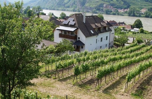 Mitterarnsdorf Apartment | Comfortable apartment (52 m²) with a balcony and a view of the vineyards
