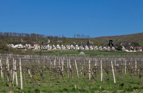 Donnerskirchen House | Cozy house situated in a vineyard with view on the lake