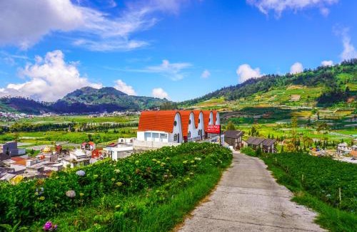 Dieng Kulon Hotel | Dieng United Cabins