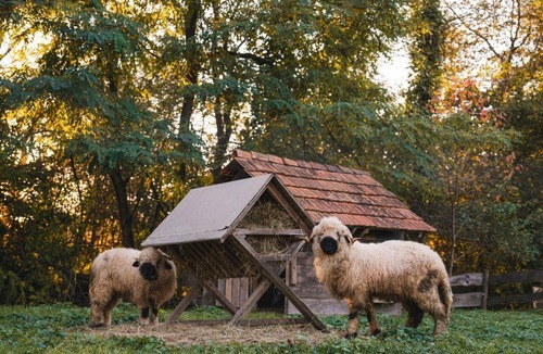Straden Bed & Breakfast | Double room Deeply rooted - Monschein Bioweinhof
