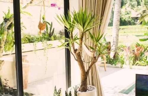 Pejeng Villa | Dzen Greenfield Villa 8
