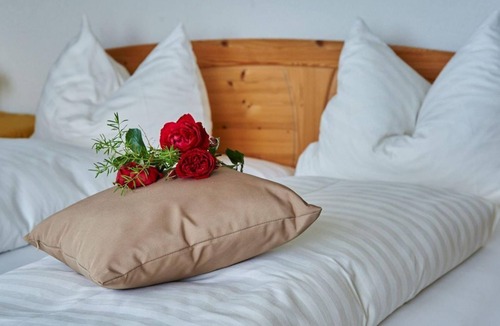 Kaning Bed & Breakfast | Einzelzimmer, Dusche Oder Bad, WC, Gartenseitig - Gästehaus Alpenrose