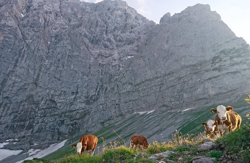 Hinterriss Hotel | Einzelzimmer Fichtencharme - Natur.erlebnis.hotel Post Hinterriß
