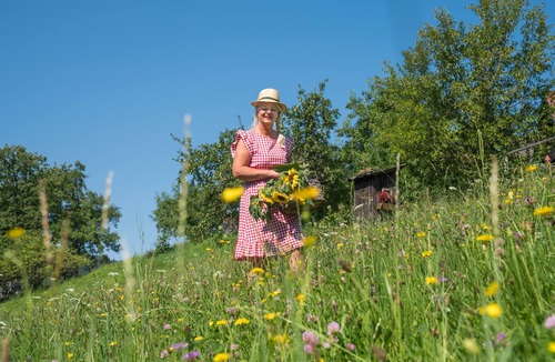 Altenbach House | Exclusive rustic vacation home with 125 square meters in the South Styrian wine country