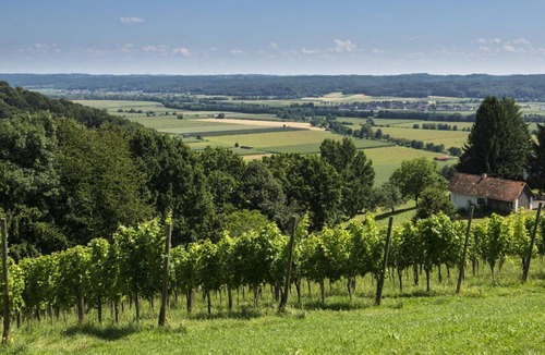 Johnsdorf-Brunn Other | Ferienhaus "das Nussberg" - Ferienhäuser im Weingarten