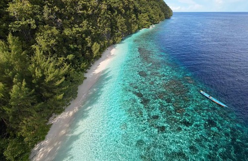 Arborek House | Freedom Homestay - Raja Ampat