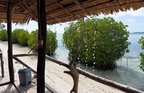 Arborek House | Freedom Homestay - Raja Ampat
