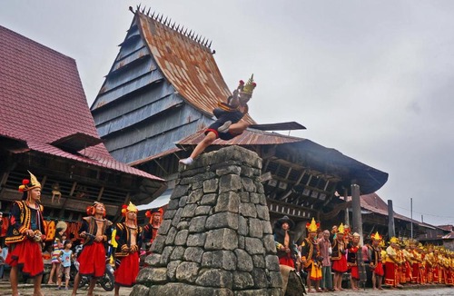Nias Hostel | Gonias Hostel