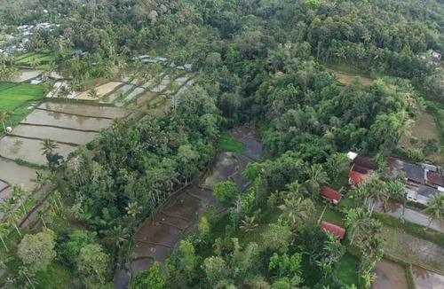 Tetebatu House | Greenday bungalows
