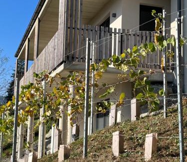 Oberhaag House | Haus Nebel