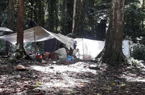 Ketambe House | Homestay badget