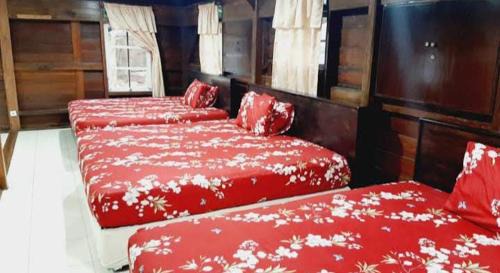 Ujung Genteng House | Homestay villa Ujang ujung genteng