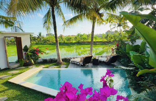Sayan House | Honeymoon Villa Private Pool Rice View Ubud