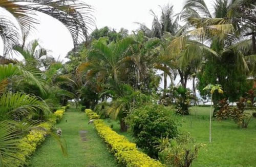 Hu'u Cabin | Hotel Puma Bungalow
