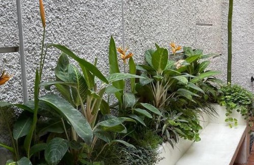 Padalarang House | Ivory House