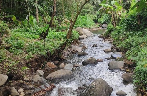 Pupuan House | Joglo River Pure Nature Lodging