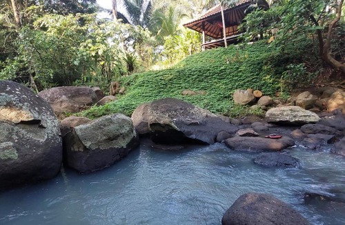 East Selemadeg Ski Chalet | Jungle Haven - Private Riverside