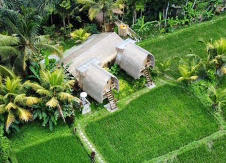 Sebatu House | Kawig Bamboo House - Ricefield view, Eco Bamboo Home