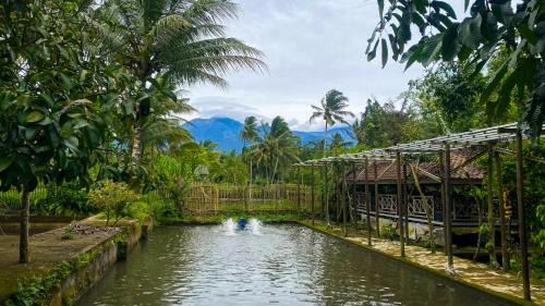 Kecamatan Montong Gading House | Keluncing Field Homestay