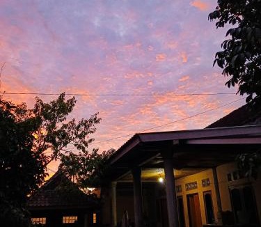 Kecamatan Montong Gading House | Keluncing Field Homestay