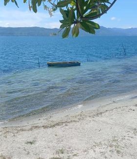 Ambarita Hotel | Kings guest house