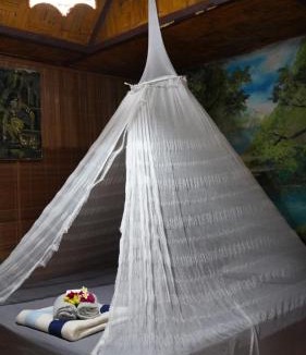 Bukit Lawang House | Lucky Bamboo'Bungalows and Orangutan Jungle Trekking Tours