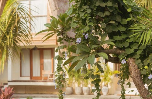 Pecatu Hotel | Lulu's Wellness Boutique Villas