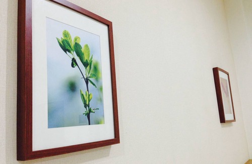 Jakarta House | Menteng House