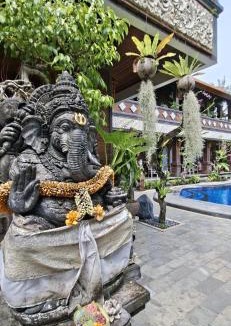 Batu Bolong Hotel | Mikuk Cottages Canggu