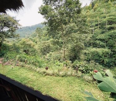 Munduk House | Munduk Tutub Waterfall View Guest house
