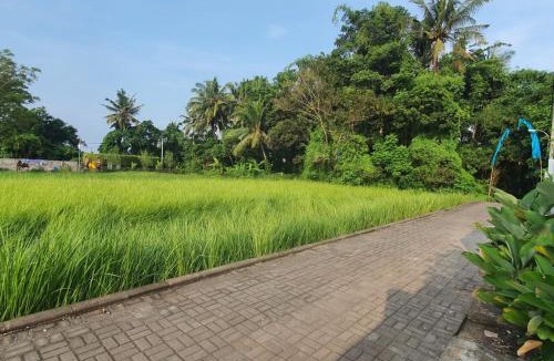 Lodtunduh Villa | Naturale Villa Ubud, Bali
