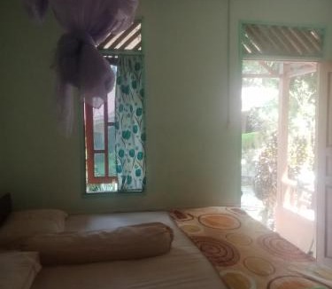 Manna Apartment | New orchid