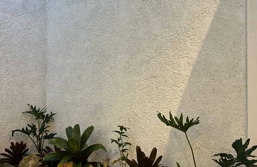 Denpasar Timur Villa | New Two Bedrooms Pool Villa 10 Minutes to Sanur Harbor