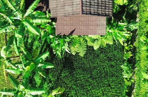 Kecamatan Pringgasela House | Opik Homestay Tete Batu