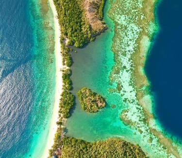 Pianemo Islands House | Or Mandira Homestay