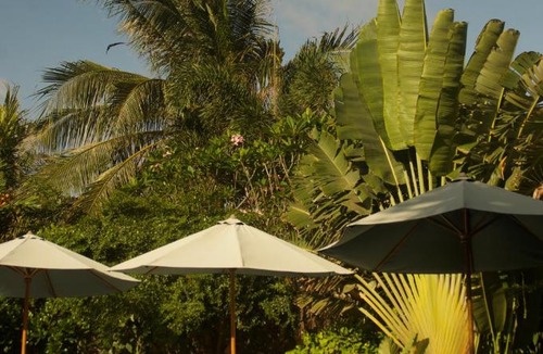 Kuta Cabin | Owa Lodge Areguling