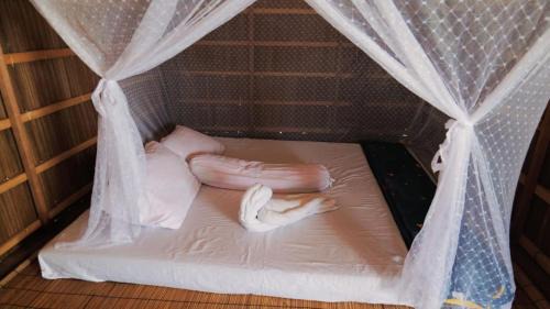 Raja Ampat House | Paradise Raja Ampat