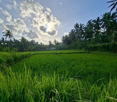 Kotaraja House | Penempuran cottage