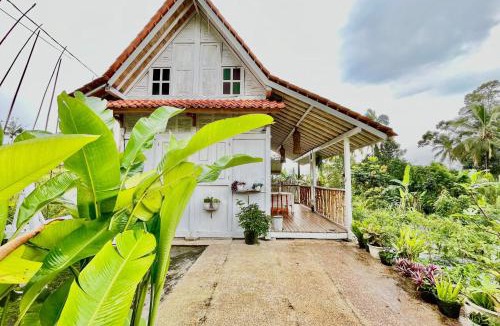 Banyuwangi Villa | Pondok Is Oke Family Room - 2 Bedroom Ricefild view