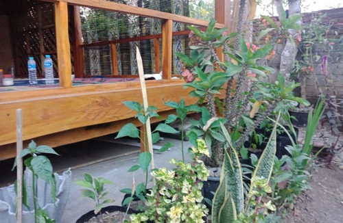 Batukliang Bed & Breakfast | Pondok Lendang Belo