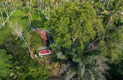Taro Hotel | Pondok Padi Bali Villa by Dhananjaya Hospitality