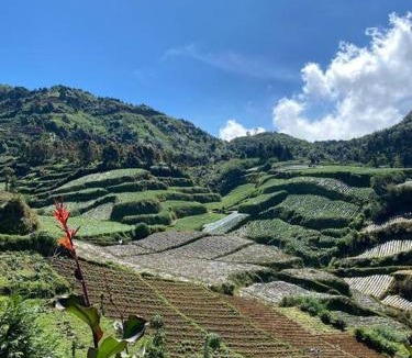 Dieng Kulon House | private cabin Dieng