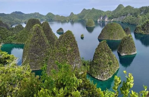 Waisai Boat Rental | Raja Ampat Speedboat Rent Lajoanging