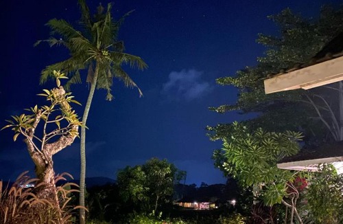 Bangunjiwo Villa | Rice Paddy and Pool View Villas