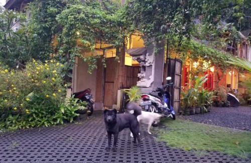 Tampaksiring House | Rumah Herbal Therapy BaliManggis