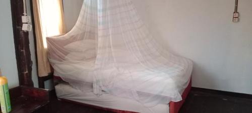 Waisai House | Saleo Pesona Satu
