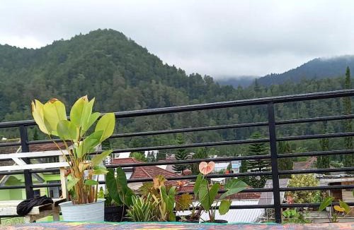 Karanganyar House | Samara 3 tawangmangu rooftop