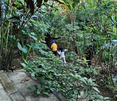 Kubutambahan Hotel | Sang Natha Lodge