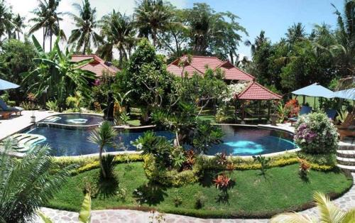Lovina Resort | Sawah Lovina